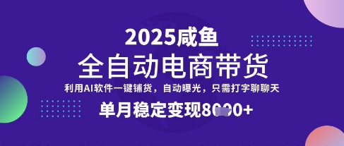 全网首发【闲鱼全自动电商带货】三年磨一剑，一朝露锋芒，单月稳定变现8k+【揭秘】-耐玩网创