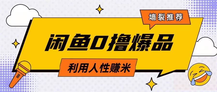 咸鱼0撸玩法利用人性售卖商品达到日挣2张的效果-耐玩网创