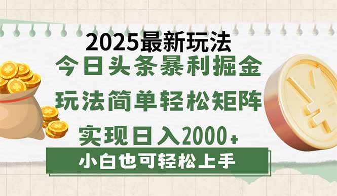 （14120期）今日头条2025最新玩法，思路简单，复制粘贴，轻松实现矩阵日入2000+-耐玩网创