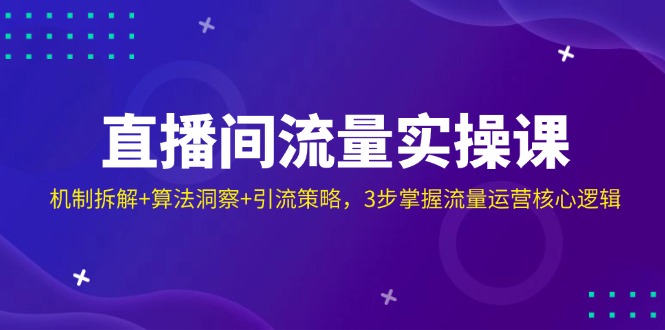 （14122期）直播间流量实操课：机制拆解+算法洞察+引流策略，3步掌握流量运营核心逻辑-耐玩网创