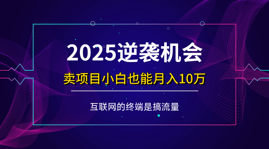 （14122期）项目标题：2025逆袭机会，卖项目小白也能轻松月入10万+-耐玩网创