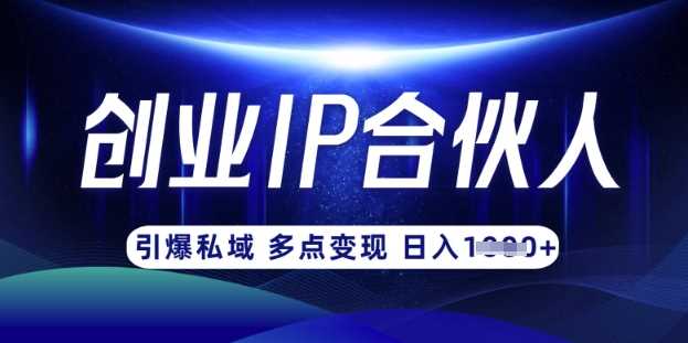 云帆·创业ip合伙人打造3.0，从0到1教你做网创，实现月入过W-耐玩网创