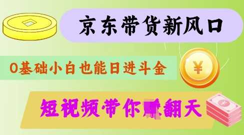 最新京东短视频带货代运营秘籍，轻松躺挣【揭秘】-耐玩网创