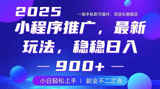（14137期）25年小程序掘金最新玩法，稳稳日入900+，副业兼职的不二之选-耐玩网创