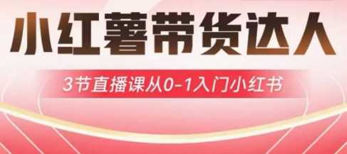小红薯达人带货启航计划，3节直播课从0-1入门小红书-耐玩网创