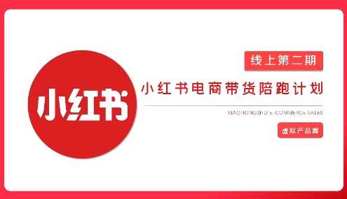 2025小红书虚拟电商实战课，从0到1打造无货源店铺，AI+爆款笔记轻松变现-耐玩网创