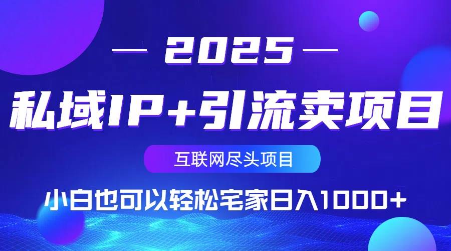 （14151期）私域IP+引流卖项目，小白也可以做到轻松宅家日入1000+-耐玩网创