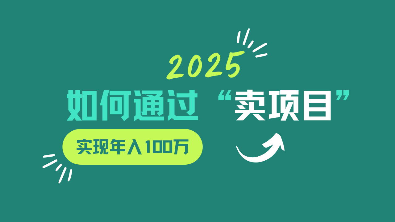 2025年如何通过“卖项目”实现年入100w-耐玩网创