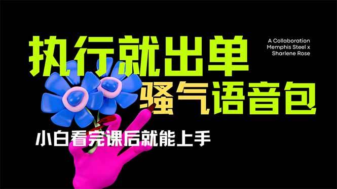 （14170期）爆火全网的开车导航骚气语音包,只要执行就出单，小白看完课程就能实操…-耐玩网创