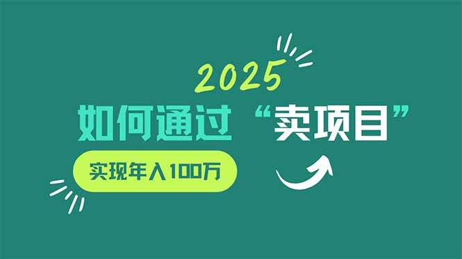 （14176期）2025年如何通过“卖项目”实现年入100万-耐玩网创
