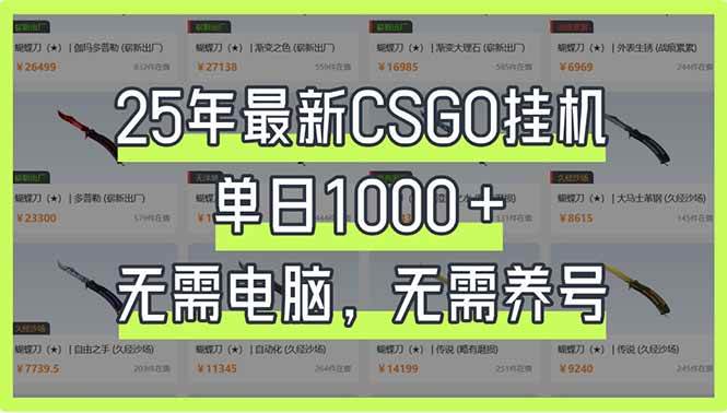 （14178期）25年最新CSGO挂机系统，单日1000+，无需电脑，无需养号，0基础可上手-耐玩网创