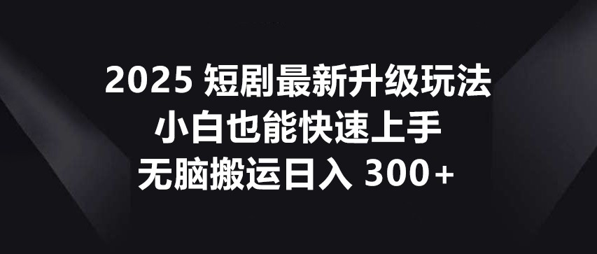 2025短剧最新升级玩法，小白也能快速上手，无脑搬运日入300+-耐玩网创