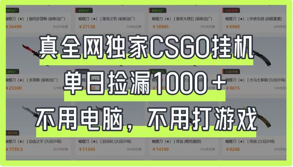 真全网独家CSGO挂机，单日捡漏1000+，不用电脑，不用养号-耐玩网创