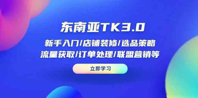 东南亚TK3.0：新手入门/店铺装修/选品策略/流量获取/订单处理/联盟营销等-耐玩网创