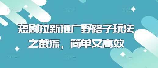 短剧拉新推广野路子玩法之截流，简单又高效-耐玩网创