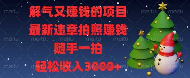 解气又挣钱的项目，最新违章拍照挣钱，随手一拍，轻松收入数张【揭秘】-耐玩网创
