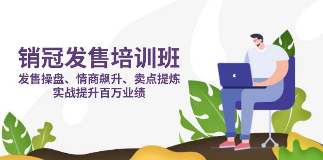 销冠发售培训班：发售 操盘+情商 飙升+卖点 提炼，实战提升百万业绩-耐玩网创