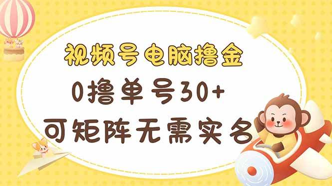 （14220期）视频号电脑撸金 0撸单号30+ 可矩阵 无需实名多号多得-耐玩网创