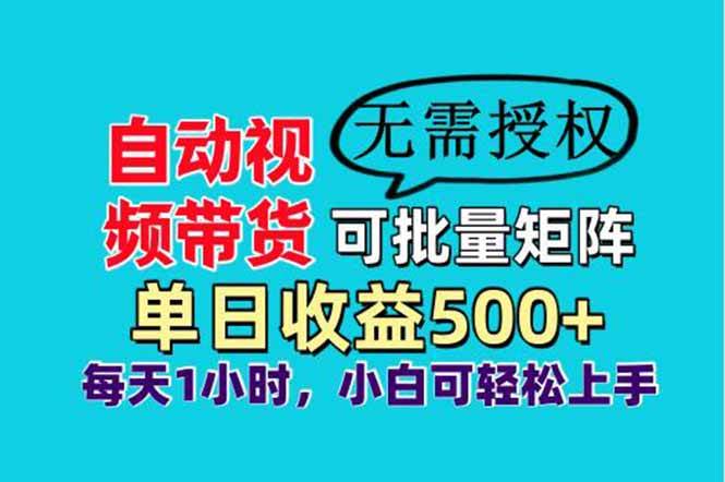 （14229期）自动视频带货，可批量矩阵，单日收益500+、轻松实现睡后收益，小白可…-耐玩网创