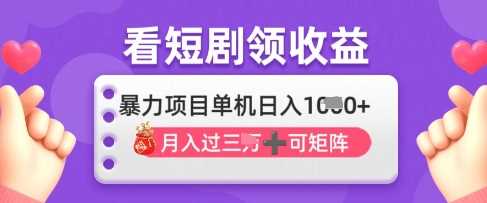 2025年4月最新看短剧领收益，单机日收入1k【揭秘】-耐玩网创