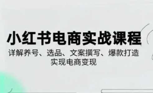 小红书从0-1实操课(2023-2025)，详解养号、选品、文案撰写、爆款打造实现电商变现-耐玩网创