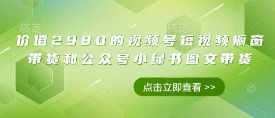 价值2980的视频号短视频橱窗带货和公众号小绿书图文带货-耐玩网创