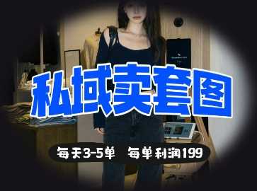 私域卖套图每天3-5单，每单利润99-耐玩网创