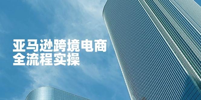 （14252期）亚马逊跨境电商全流程实操，教你从零开始，掌握店铺运营与广告技巧-耐玩网创