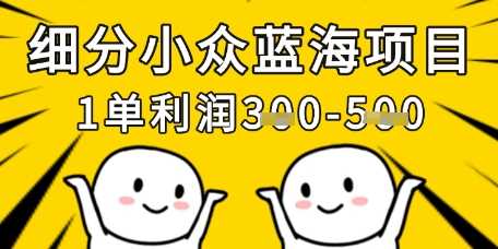 细分小众蓝海项目，一单利润3张，每月收入稳定过1w+-耐玩网创