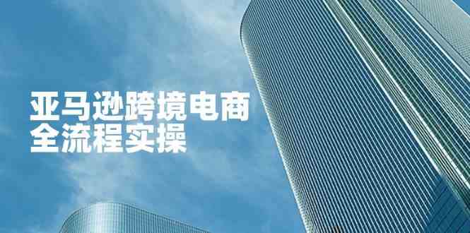 亚马逊跨境电商全流程实操，教你从零开始，掌握店铺运营与广告技巧-耐玩网创