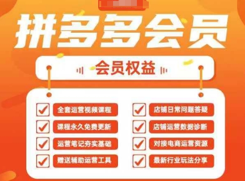 2025拼多多运营实战课，40节全流程教学，覆盖拼多多运营全链路-耐玩网创