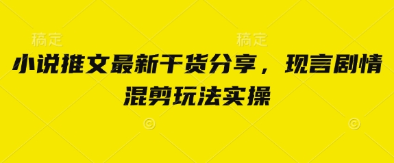 小说推文最新干货分享，现言剧情混剪玩法实操-耐玩网创