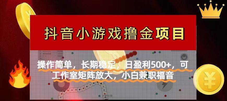 （14290期）【抖音小游戏发行人计划项目】操作简单，长期稳定，日盈利500+，可工作…-耐玩网创