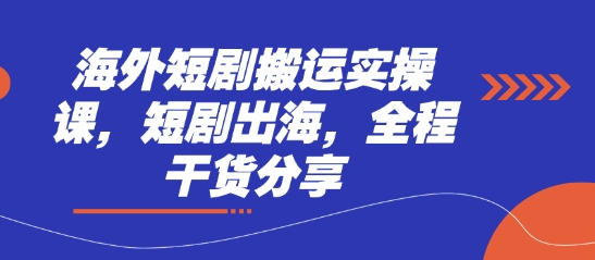 海外短剧搬运实操课，短剧出海，全程干货分享-耐玩网创