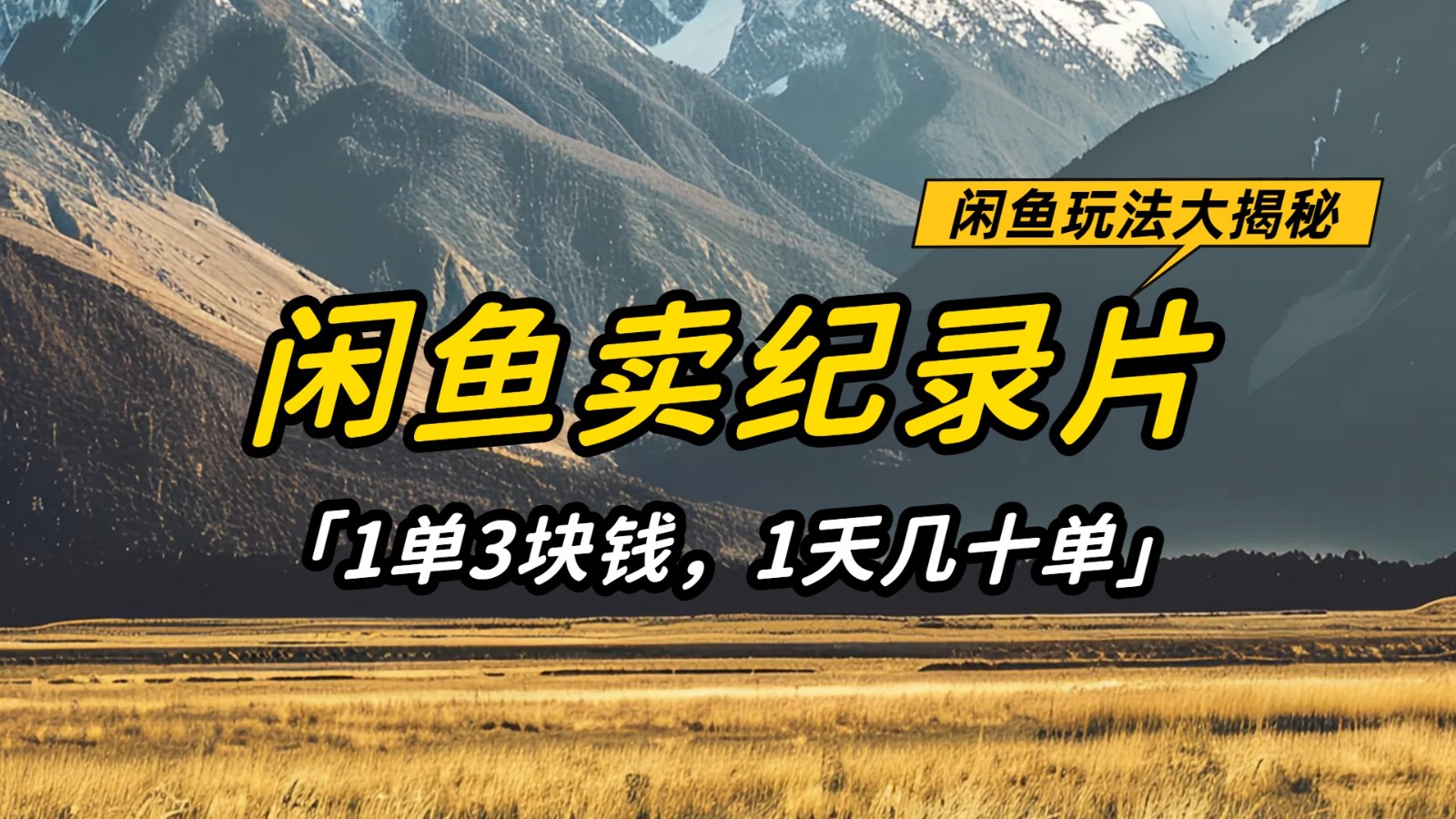闲鱼卖纪录片，简单又赚钱的小项目，1单3块钱  1天几十单-耐玩网创