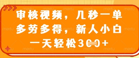 最新审核视频，几秒一单，多劳多得，新人小白一天轻松3张【揭秘】-耐玩网创
