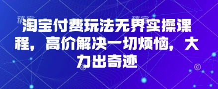 淘宝付费玩法无界实操课程，高价解决一切烦恼，大力出奇迹-耐玩网创
