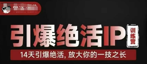 引爆绝活IP训练营，14天引爆绝活，放大你的一技之长-耐玩网创