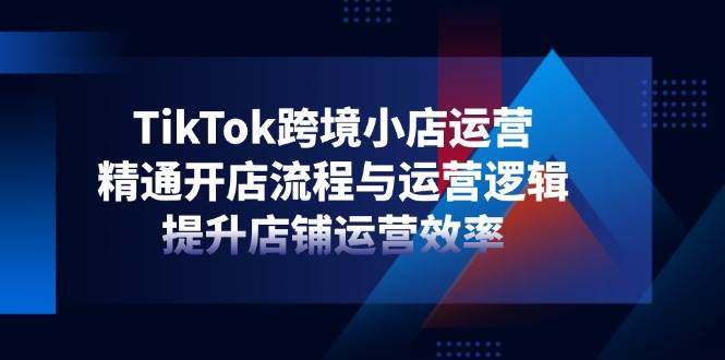 （14369期）TikTok跨境小店运营，精通开店流程与运营逻辑，提升店铺运营效率-耐玩网创