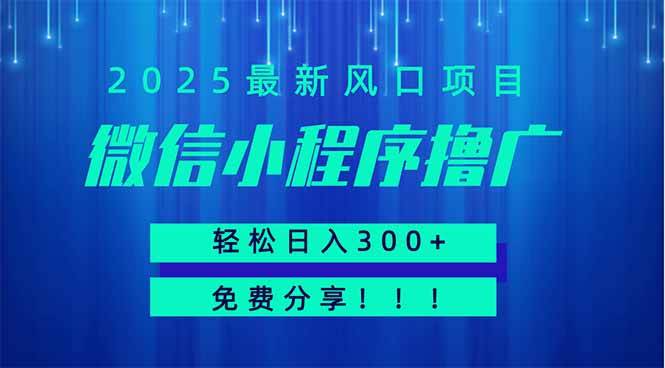 （14375期）微信小程序撸广，最新风口项目，日入300+ 免费分享 可批量操作 小白可…-耐玩网创