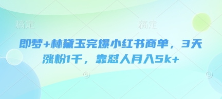 即梦+林黛玉完爆小红书商单，3天涨粉1千，靠怼人月入5k+-耐玩网创