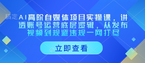 AI高阶自媒体项目实操课，讲透账号运营底层逻辑，从发布视频到规避违规一网打尽-耐玩网创