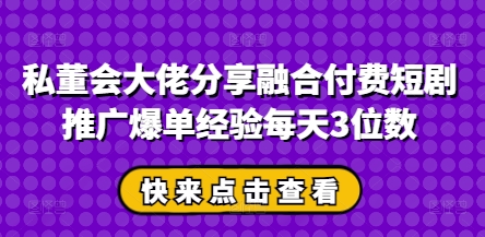 私董会大佬分享融合付费短剧推广爆单经验每天3位数-耐玩网创