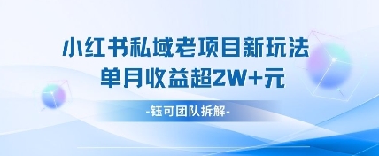 小红书私域项目新玩法，单月变现过W+-耐玩网创