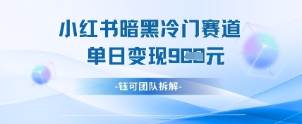 小红书冷门”暗黑”赛道，单日收益多张-耐玩网创