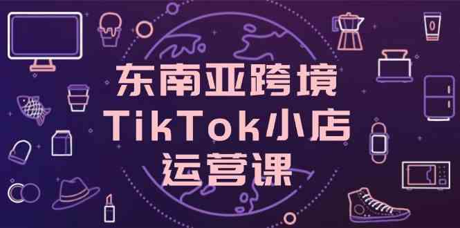东南亚跨境TikTok小店运营课，掌握店铺设置与流量转化核心技巧-耐玩网创