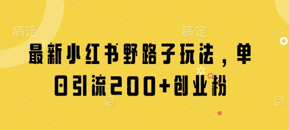 最新小红书野路子玩法，单日引流200+创业粉-耐玩网创