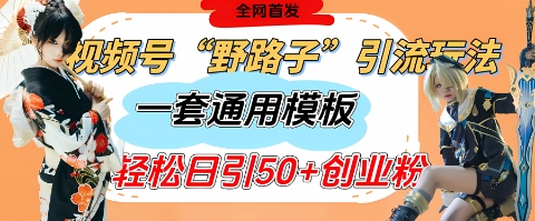视频号“野路子”玩法，评论区疯狂截流，一套模板单日单号引流50+创业粉-耐玩网创