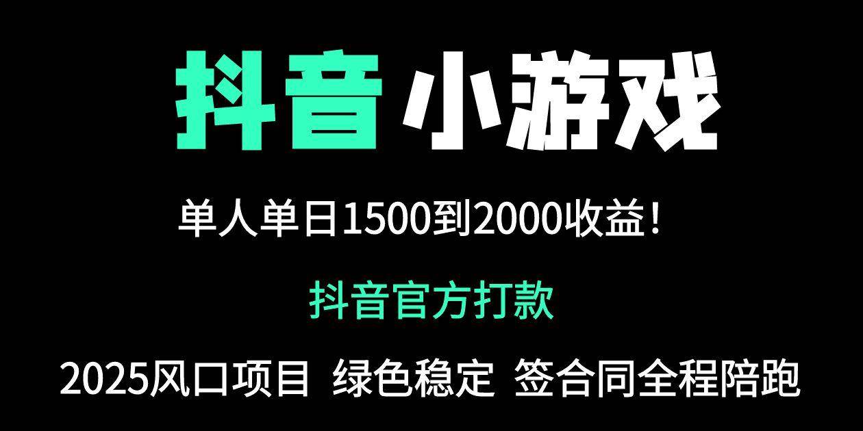 （14527期）抖音官方小游戏2025全网最新玩法，暴利赚钱项目，单机日入2000+，绝不…-耐玩网创