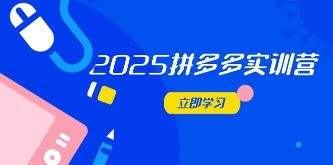 （14531期）2025拼多多实训营：深度剖析运营关键，助力电商人快速提升-耐玩网创